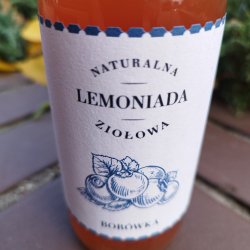 Stara Szkoła Lemoniada Borówka